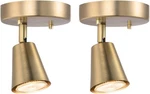 1-LIGHT Track Modern Ceiling Spotlights With Matte BRASS,2. Fixed Price $42.99.