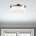 Livex Lighting Stratus 2-LIGTH Metal & Glass Ceiling Mount Brushed Nickel. Fixed Price $127.99.