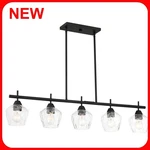 Minka Lavery Camrin 5 Light 40" Wide Vantage Linear Chandelier R31. Fixed Price $189.99.