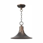 Kingston Outdoor 1-LIGHT Dark Sky Pendant By World Imports. Fixed Price $99.90.