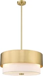 Z-lite 495P18-MGLD 3 Light Pendant, Modern Gold With Incandescent Lamp Type. Fixed Price $344.00.