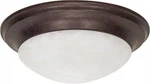 Nuvo 60-282 Large Dome Twist & Lock Flush Mount Ceiling Light. Fixed Price $97.99.