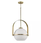 Progress Lighting P500359-109 Delayne 21 In. 1-LIGHT Brushed Bronze Pendant. Fixed Price $209.99.