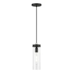 Livex Devoe Light Mini Pendant, Black/brushed Nickel Accent/clear 41236-04. Fixed Price $129.96.
