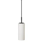 Dainolite 83202-WH Paza 4"W Mini Pendant Black. Fixed Price $86.00.