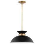 Nuvo Lighting Perkins 1 Small Pendant, Black/burnished Brass 60-7460. Fixed Price $168.00.
