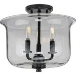 Progress Lighting P350153 Winslett 14"W Semi-flush Black. Fixed Price $181.44.