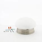 Satco 76-671 8" Light Flush With Alabaster Glass Brushed Nickel Finish. Fixed Price $22.79.