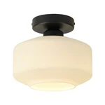 Tehenoo Milk White Glass Ceiling Light FIXTURE,8.6 Inch, Matte Black Base,mod.... Fixed Price $66.29.