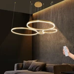 Modern Ceiling Lamp Indoor Lighting For Home Decoration Chandeliers. Fixed Price $158.03.