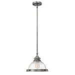 Hinkley Lighting Amelia Mini-pendant, Polished Antique Nickel 3123PL. Fixed Price $119.99.
