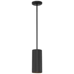 Access Lighting Pilson 1-LIGHT Matte Black Metal Pendant With Shade. Fixed Price $24.99.