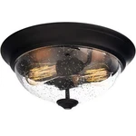 Prominence Home Madalyn 13" Bronze Flush Mount Seeded Glass Bowl Indoor Light. Fixed Price $47.92.