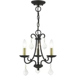Livex Lighting 40873-04 Daphne Mini Chandelier. Fixed Price $169.96.