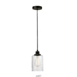 Globe Annecy 1-LIGHT Plug-in/hardwire Dark Bronze Pendant W/seeded Glass Shade. Fixed Price $21.83.