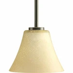 Progress Lighting Bravo 7.25-IN Antique Bronze Pendant With Tinted Glass. Fixed Price $25.99.