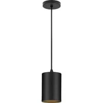 Progress Lighting Led 5"D In/outdoor Cylinder P550099-031-30 Mini Pendant Black. Fixed Price $13.00.