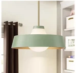 Rennnsan Winnie 1-LIGHT Green Mid-century Modern Pendant Opal Glass Shade. Fixed Price $79.72.