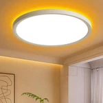 Aphyni Flush Mount Ceiling Light With Remote IN-1P, Night. Fixed Price $36.65.