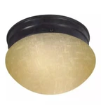 Nuvo 60/2642 1 Light 6" Small Mushroom. B3. Fixed Price $28.33.