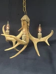 Naturally Shed Real Antler "ledgend" Whitetail Deer Chandelier, Elk Moose. Fixed Price $275.00.