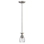 Hinkley Lighting Plantation Mini-pendant, Antique Nickel 5317PL. Fixed Price $199.00.