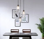Pendant Chandelier Light Fixture Foyer Dining Room Kitchen Island Glass Shades. Fixed Price $408.67.