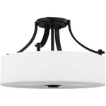 Sea Gull Sunset Drive 16" 3 Light Semi-flush Mount, Oil Rubbed Bronze, SF258ORB. Fixed Price $149.98.