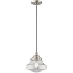 Livex Lighting 41242-91 Art Glass Mini Pendant Brushed Nickel. Fixed Price $69.99.