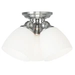 Livex Lighting Somerville Ceiling Mount Brushed Nickel. Fixed Price $96.99.