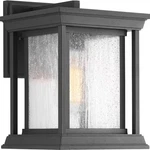 Progress Lighting Endicott Collection 1-LIGHT Clear Seeded Glass Wall. Fixed Price $75.99.