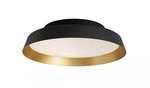 Carpyen Boop Wall Or Ceiling Light. Fixed Price $350.00.