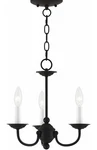 Livex Lighting 52163-04 Windsor Mini Chandelier Black. Fixed Price $44.93.