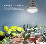 Sgleds Full Spectrum 15W Grow Lamp E26 Light Bulb For Indoor Plants. Fixed Price $22.01.