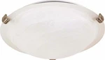 Nuvo 60-271 Large Tri-clip Dome Flush Mount Ceiling Light. Fixed Price $79.99.