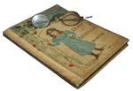 Antique 1898 Lights To Literature Book One : First Reader Rand, Mcnally & Co. Fixed Price $20.00.