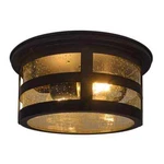 Sylvania Cambridge 2-LIGHT Antique Black Ceiling Flushmount. Fixed Price $25.78.