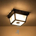 Cattleya 2-LIGHT Motion Ceiling Fixture Outdoor Flush Mount Porch.... Fixed Price $80.72.