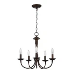 Trans Globe Lighting 9015 Bk Indoor Candle 19" Chandelier, Black. Fixed Price $48.59.