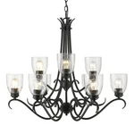 Golden Lighting Parrish Chandelier, Black, Seeded Glass 8001-9BLK-SD. Fixed Price $399.99.