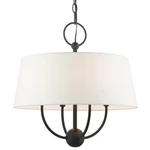 Livex Lighting 49844 Ridgecrest 18"W Drum Chandelier - Black. Fixed Price $359.98.