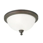 Progress Lighting P3312-20 Madison Ceiling -- 15.75" 8.25 New Box. Fixed Price $8.00.