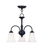 Livex Lighting Ridgedale Convertible Chain Hang/ceiling Mount Black 6464-04. Fixed Price $199.90.