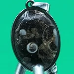 Fossil Stone Pendant With 18" Chain Surgical Stainless Steel. Fixed Price $14.00.