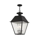 Livex Lighting 2174-04 Mansfield 4-LIGHT Outdoor Hanging Lantern, Black. Fixed Price $303.75.