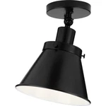 Progress Lighting P350199 Hinton 8"W Adjustable Ceiling Fixture - Black. Fixed Price $79.99.