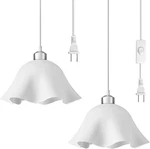Omisun Plug Pendant Light, 2 Pack Hanging Lights With Cord,. Fixed Price $32.93.