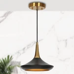 Ksana 9'' Pendant Lights Kitchen Island, 1-LIGHT Black Gold Brass. Fixed Price $44.50.