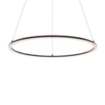 Dals Lighting RGPD24-CC-BK Pendants Indoor. Fixed Price $86.92.