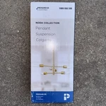 Progress Lighting 6-LIGHT Brushed Gold Shaded Pendant Contemporary. Fixed Price $72.99.